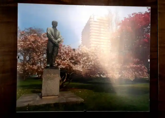 foto