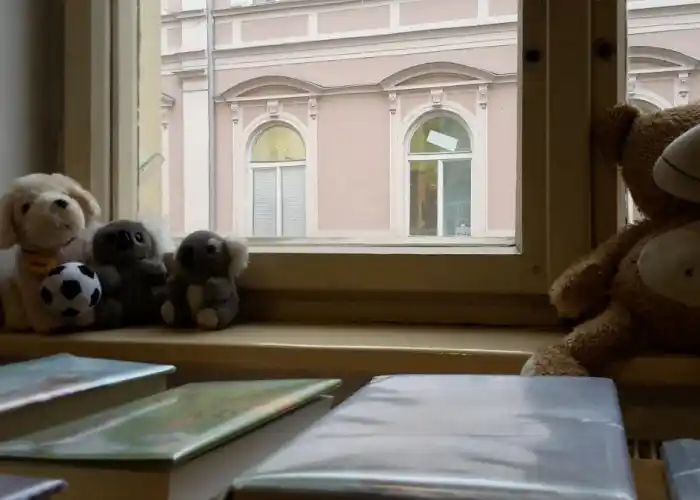 medvídci