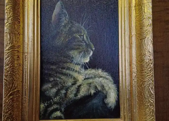 obr