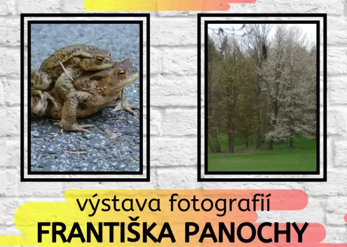 plakát