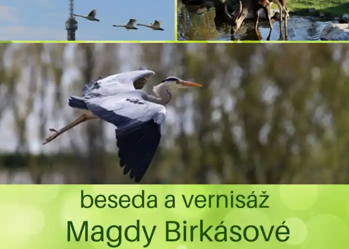 plakát