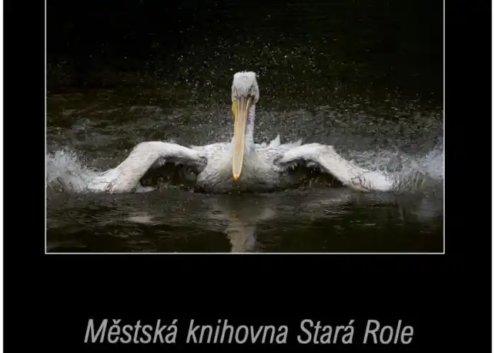 plakát