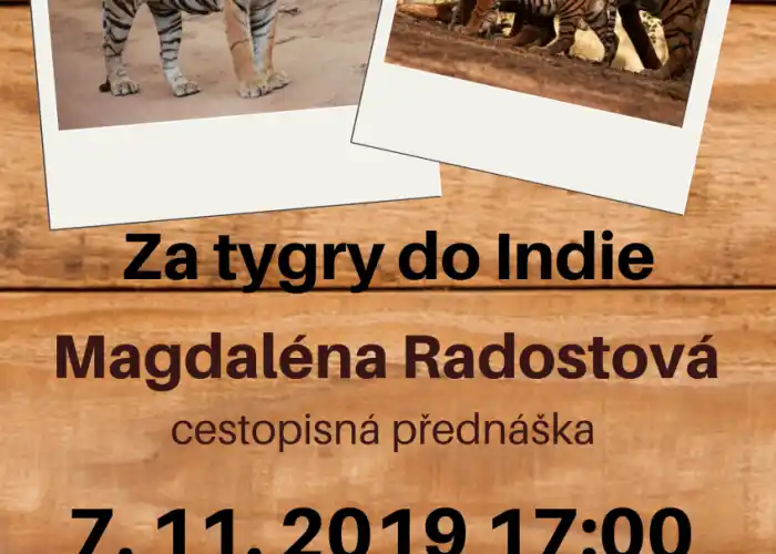 plakát