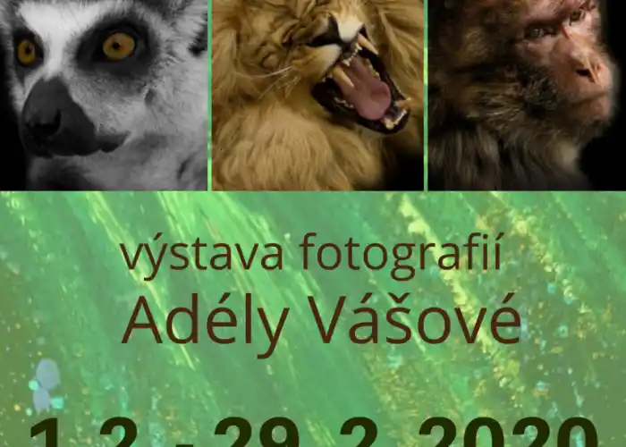 plakát
