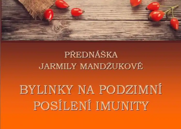 Bylinky na posílení imunity