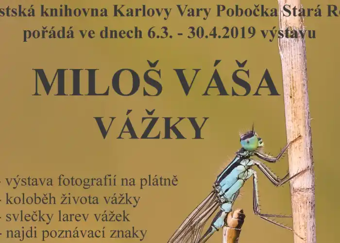 vážky