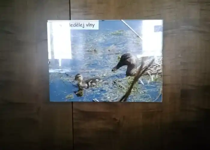 foto