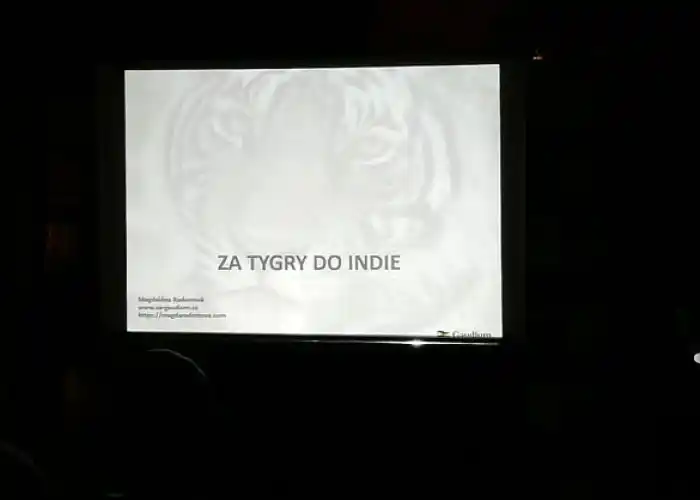 za tygry do indie